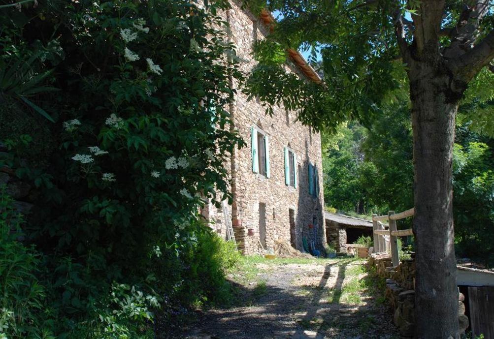 Gite De Fontfouillouse Les Plantiers Luaran gambar